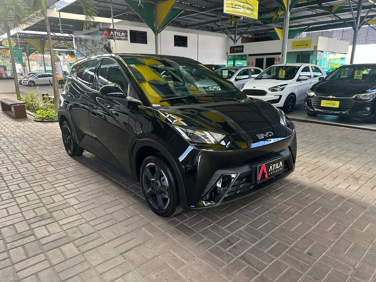 BYD Dolphin Mini - Imagem 4