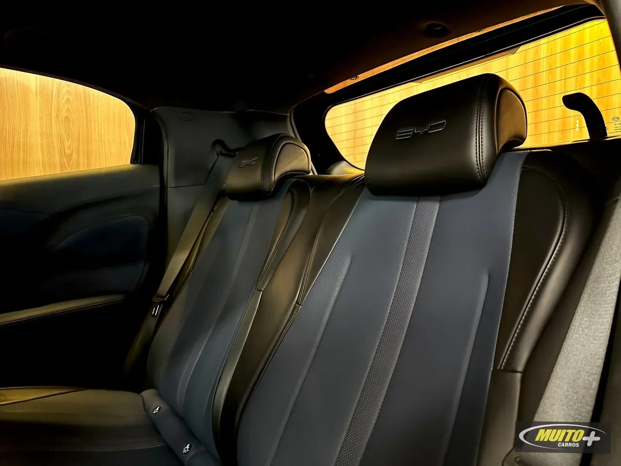 BYD Dolphin Mini - Imagem 10