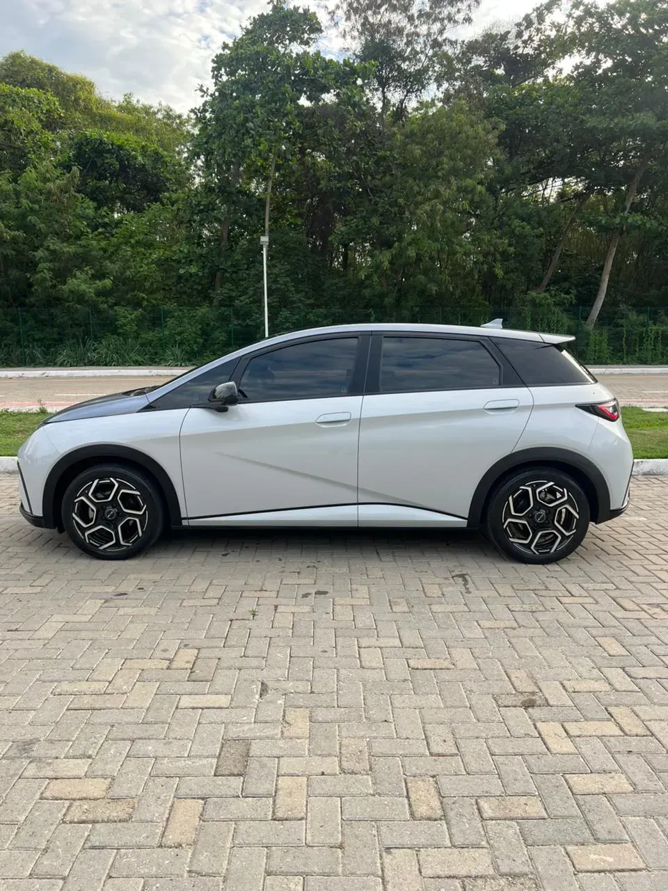 BYD Dolphin Plus - Imagem 8