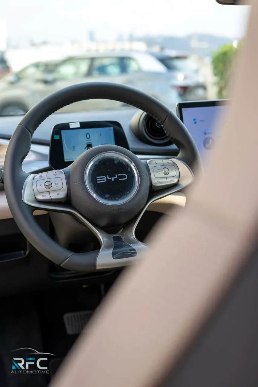 BYD Dolphin - Imagem 18