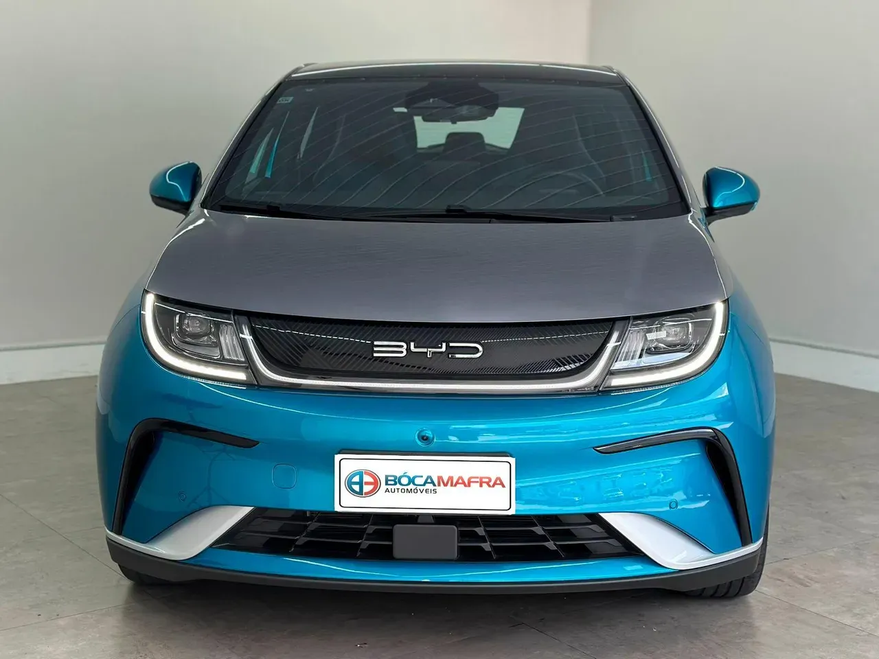 BYD Dolphin Plus - Imagem 3