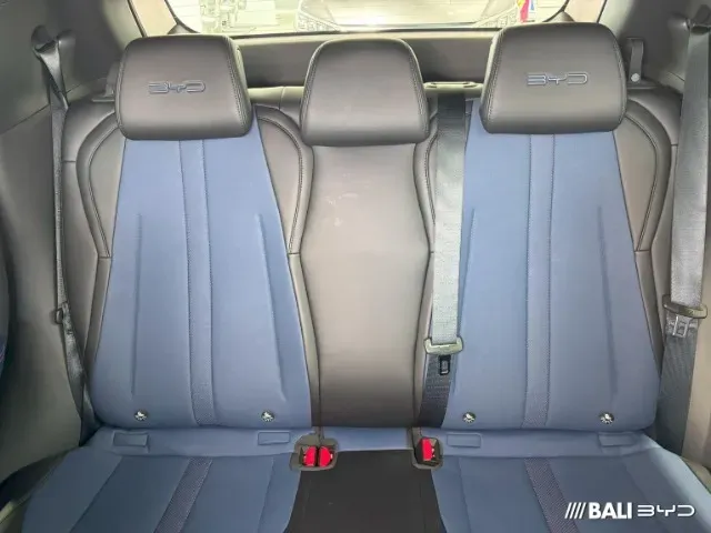 BYD Dolphin Mini - Imagem 6