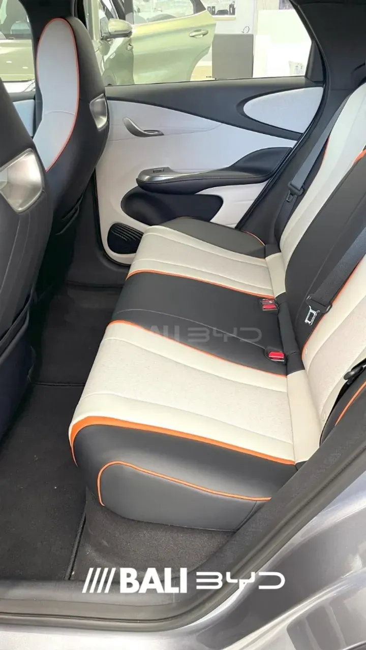 BYD Dolphin Mini - Imagem 5