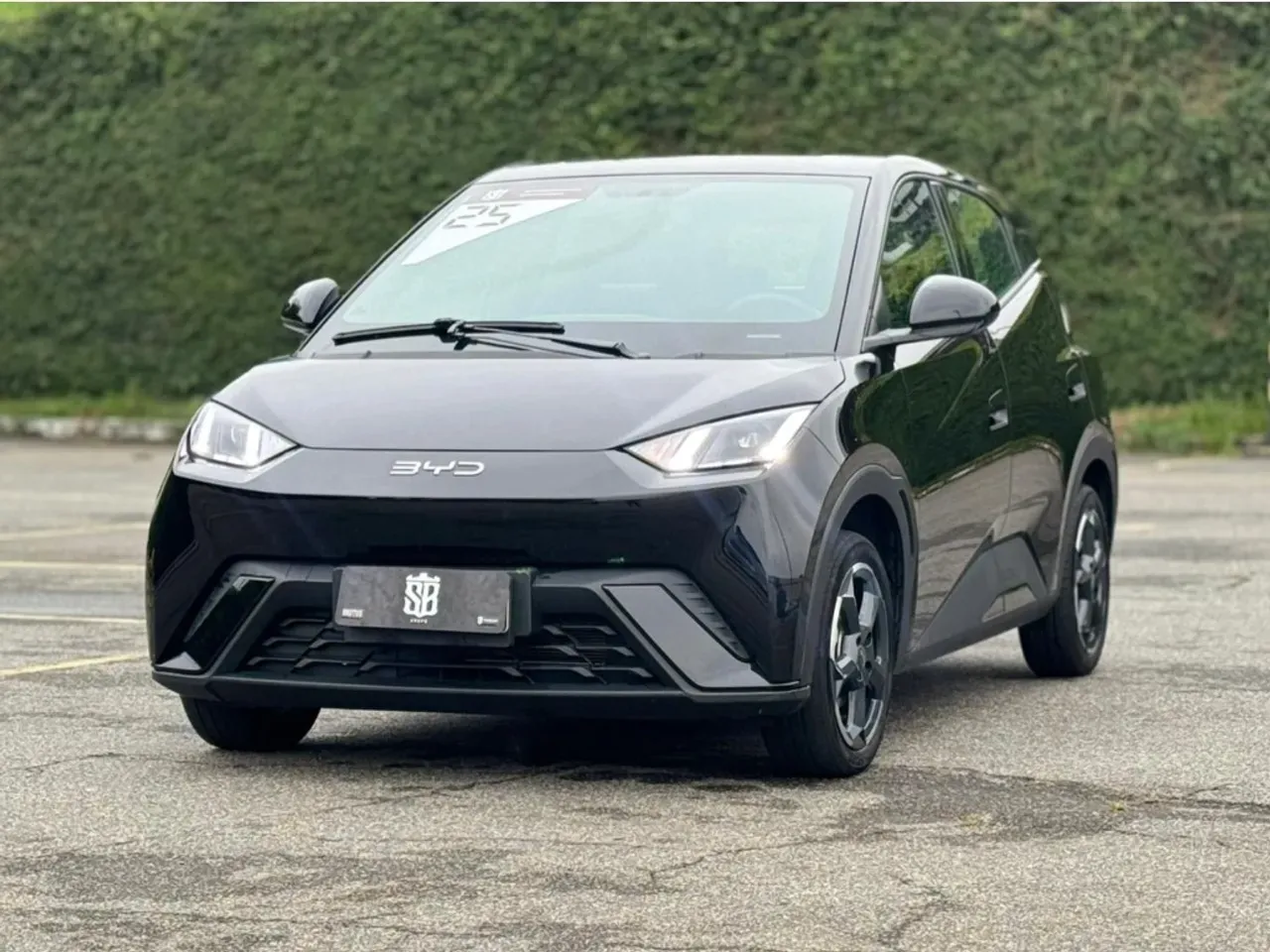 BYD Dolphin Mini - Imagem 3