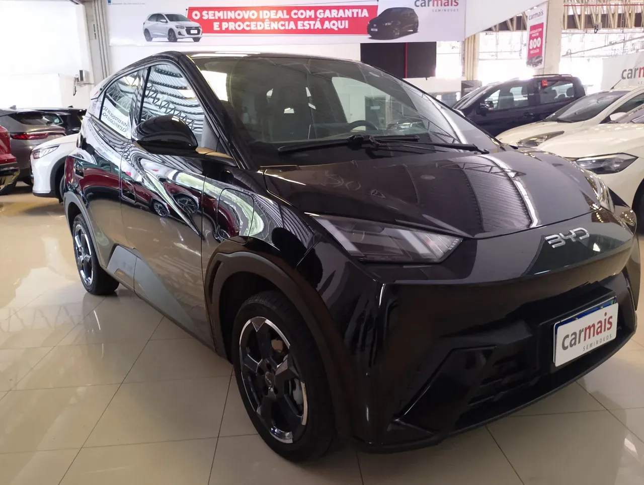 BYD Dolphin Mini - Imagem 3