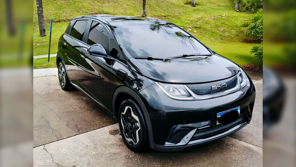 Foto de um byd dolphin