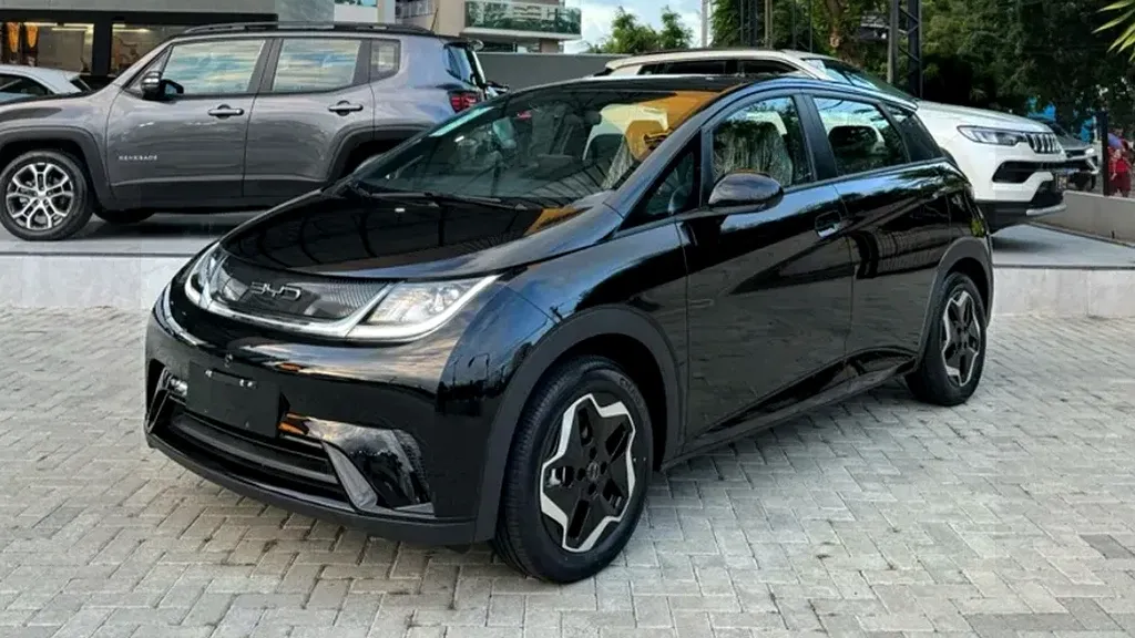 Foto de um byd dolphin