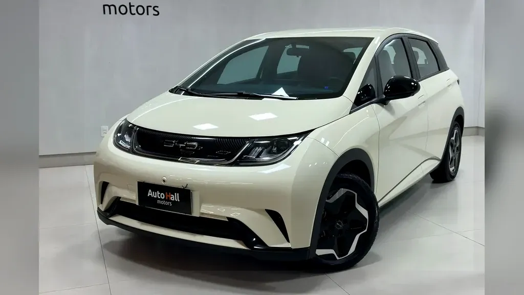 Foto de um byd dolphin