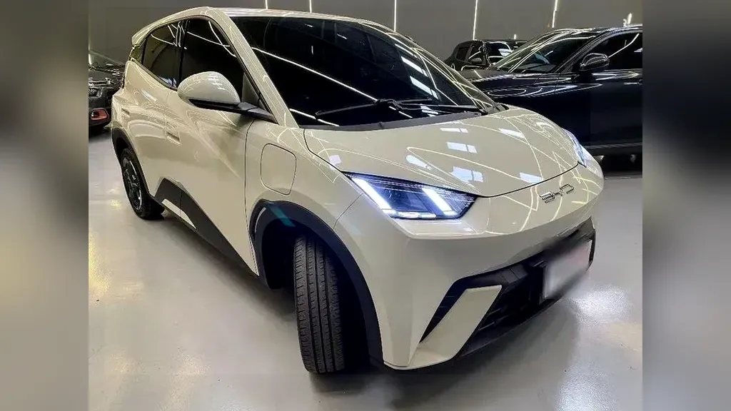 Foto de um byd dolphin