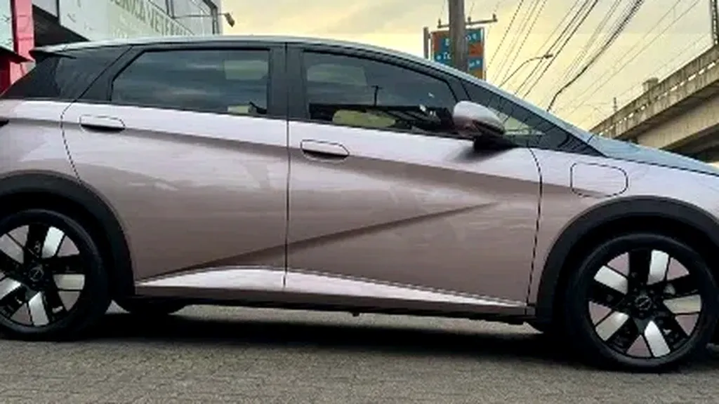 Foto de um byd dolphin plus