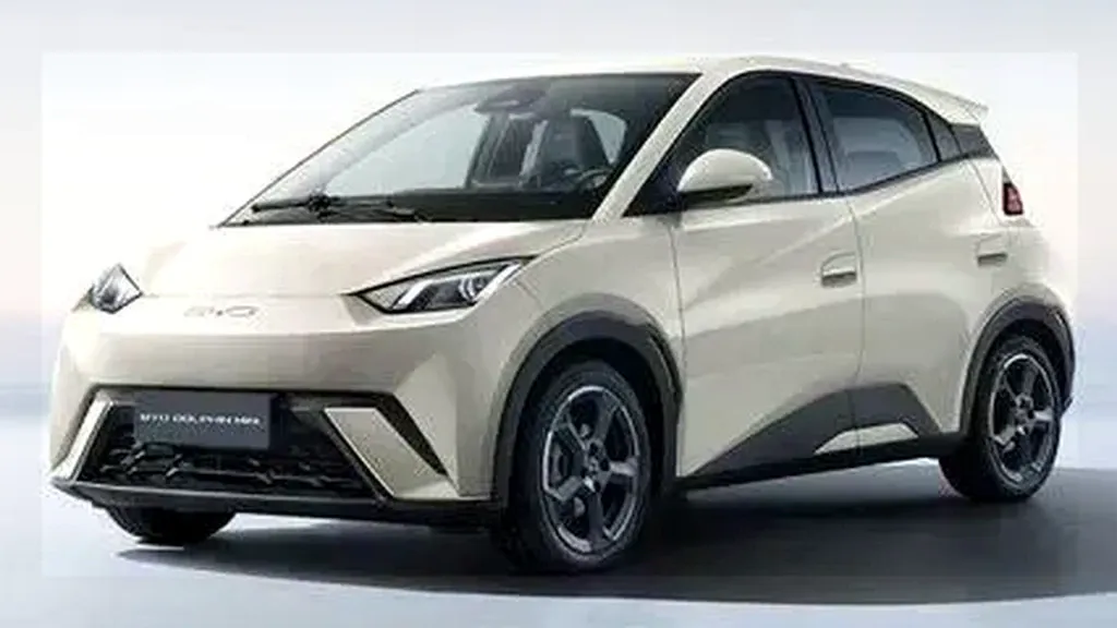 Foto de um byd dolphin mini