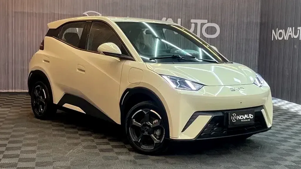 Foto de um byd dolphin