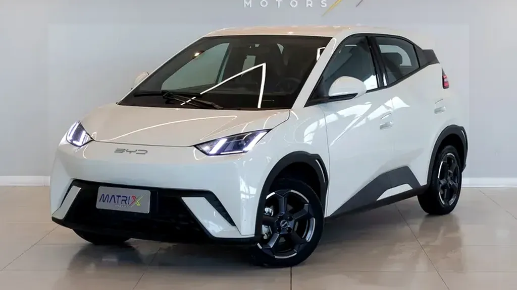 Foto de um byd dolphin mini