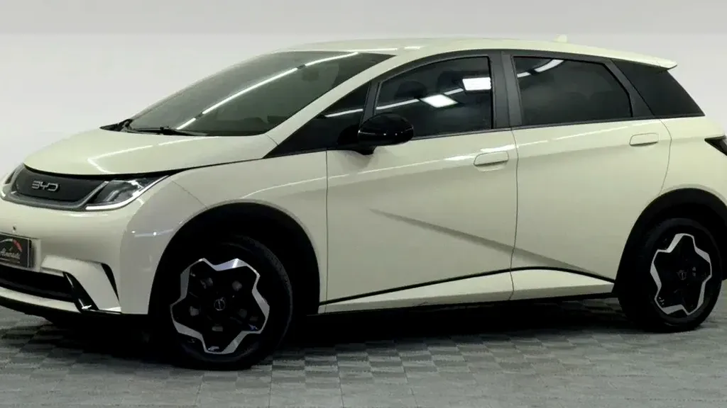 Foto de um byd dolphin