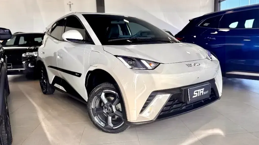 Foto de um byd dolphin mini