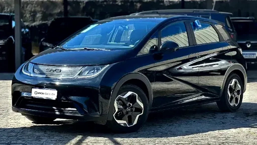 Foto de um byd dolphin