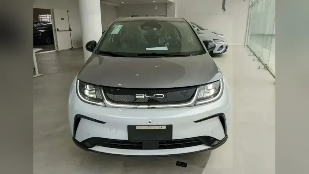 Foto de um byd dolphin plus