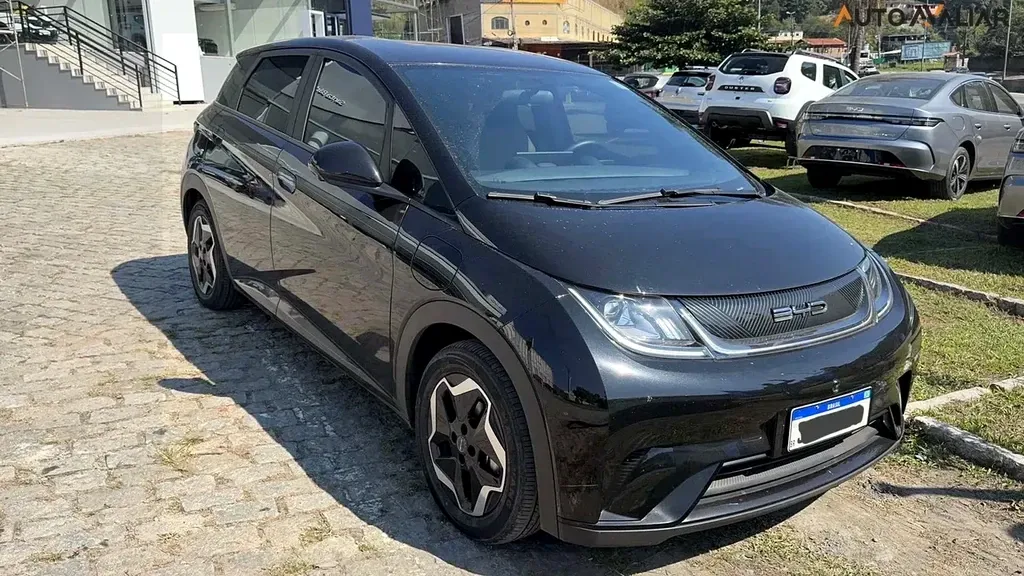 Foto de um byd dolphin