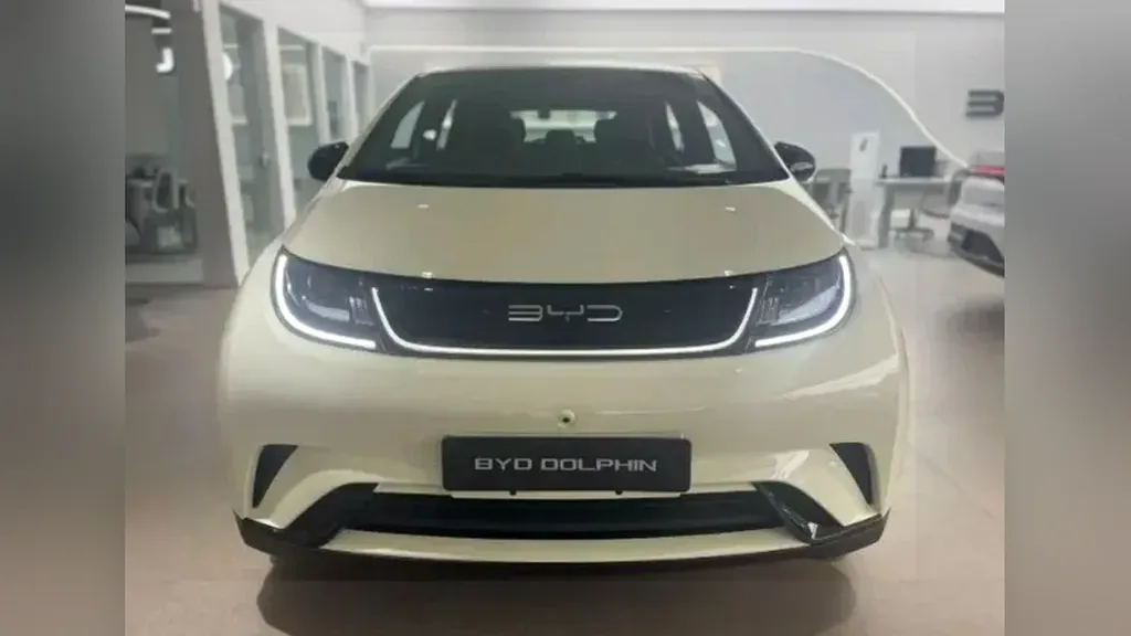 Foto de um byd dolphin