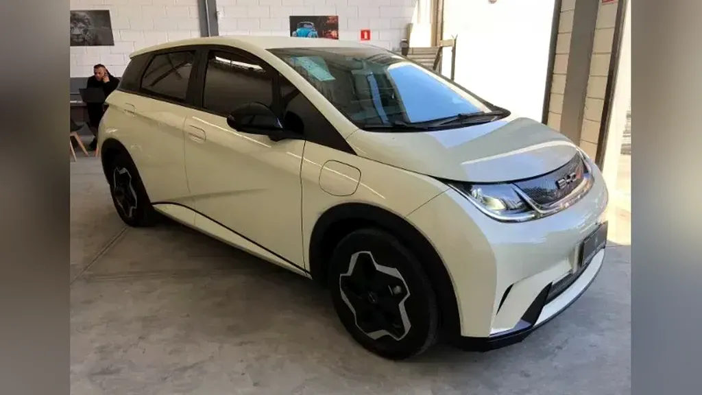 Foto de um byd dolphin