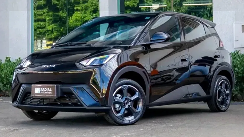 Foto de um byd dolphin mini