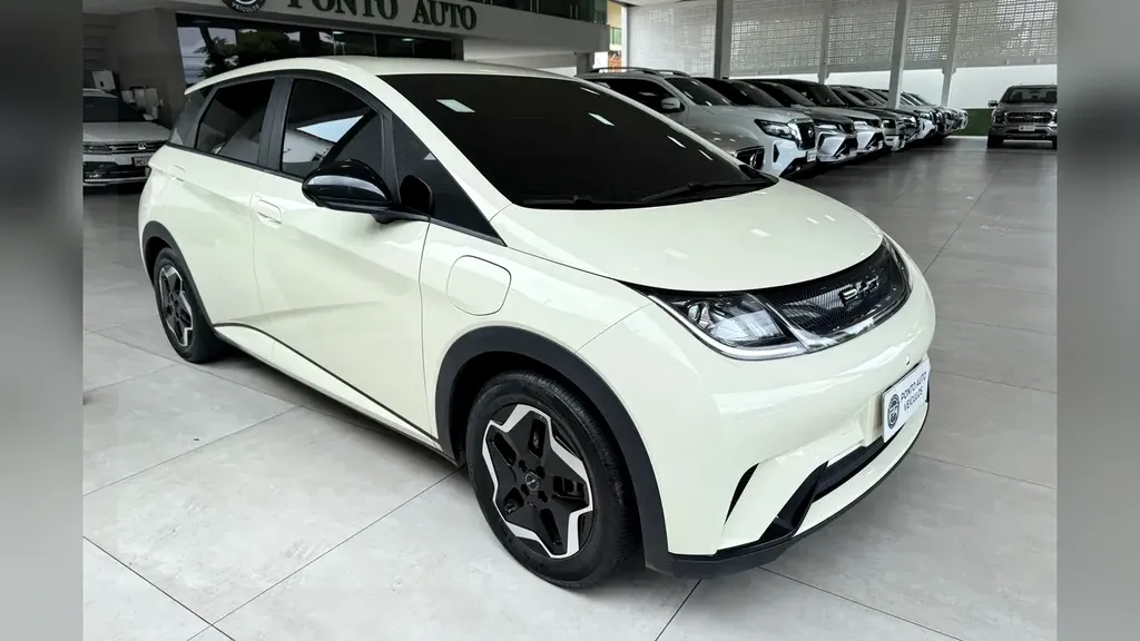 Foto de um byd dolphin