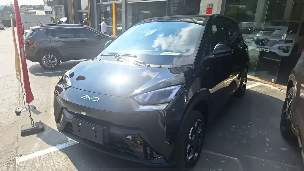 Foto de um byd dolphin mini