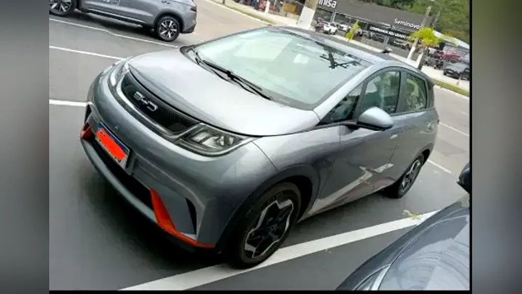 Foto de um byd dolphin