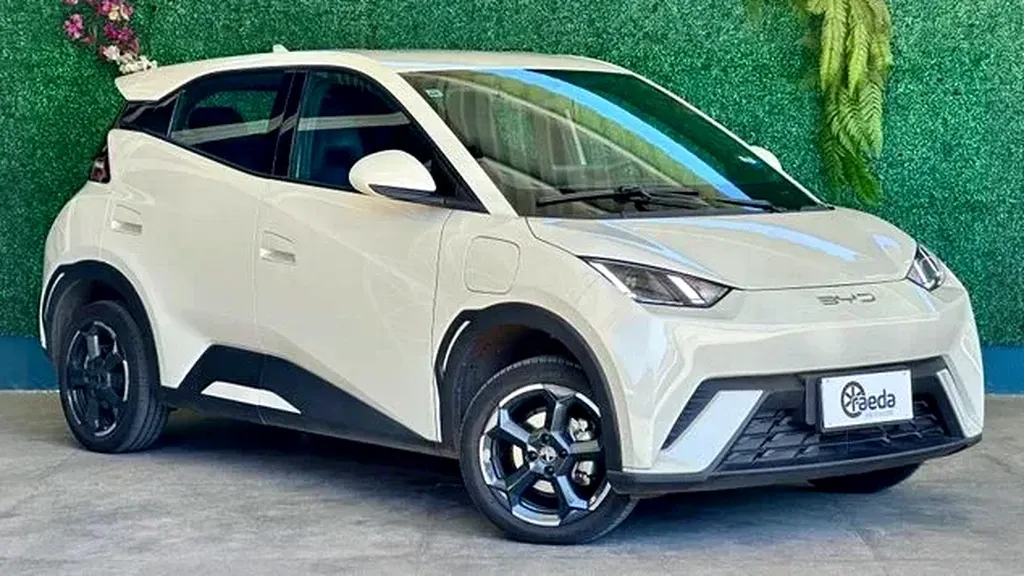 Foto de um byd dolphin mini