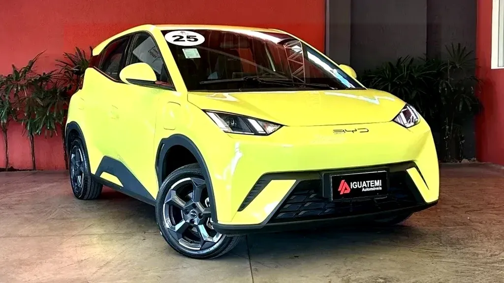 Foto de um byd dolphin mini