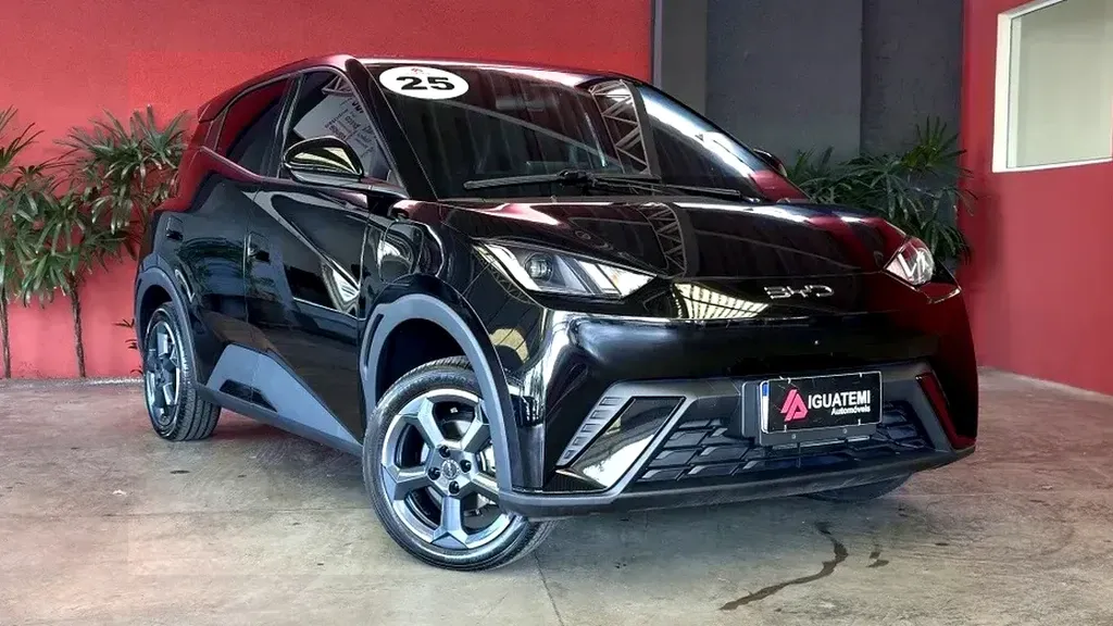 Foto de um byd dolphin mini