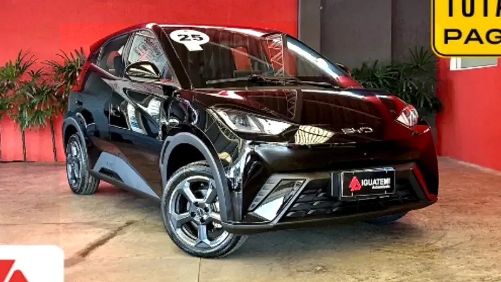 Foto de um byd dolphin mini