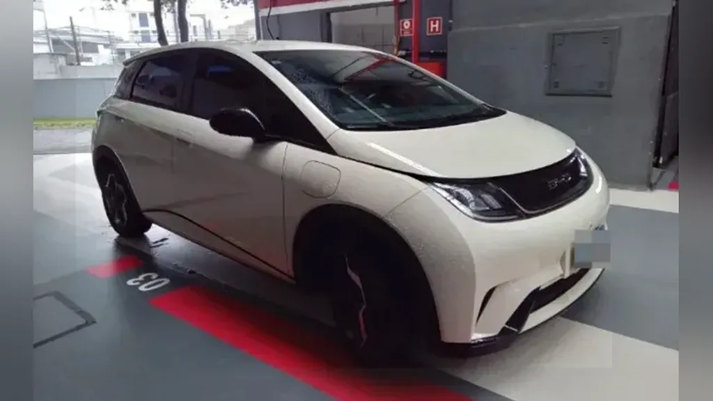 Foto de um byd dolphin