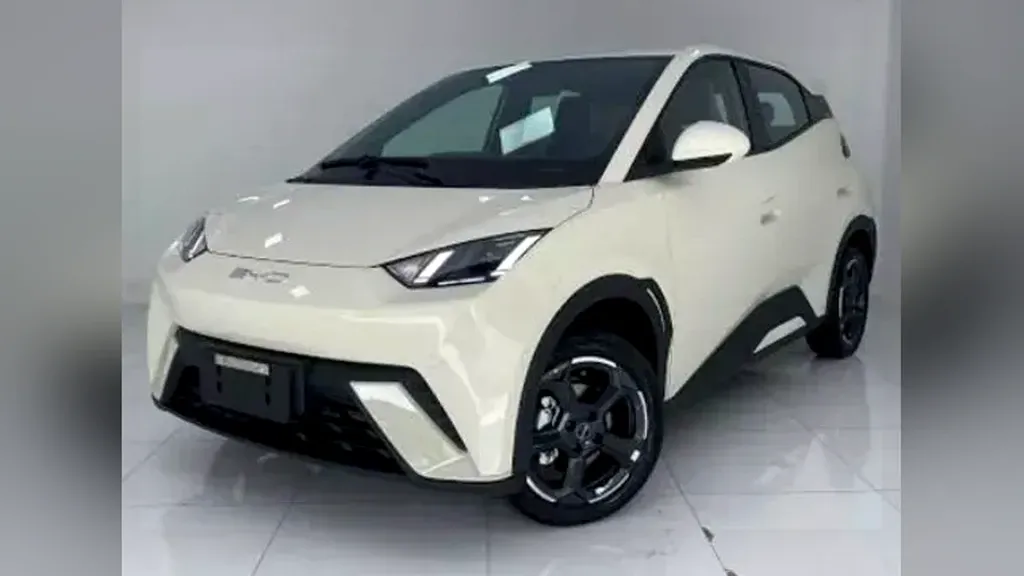 Foto de um byd dolphin mini