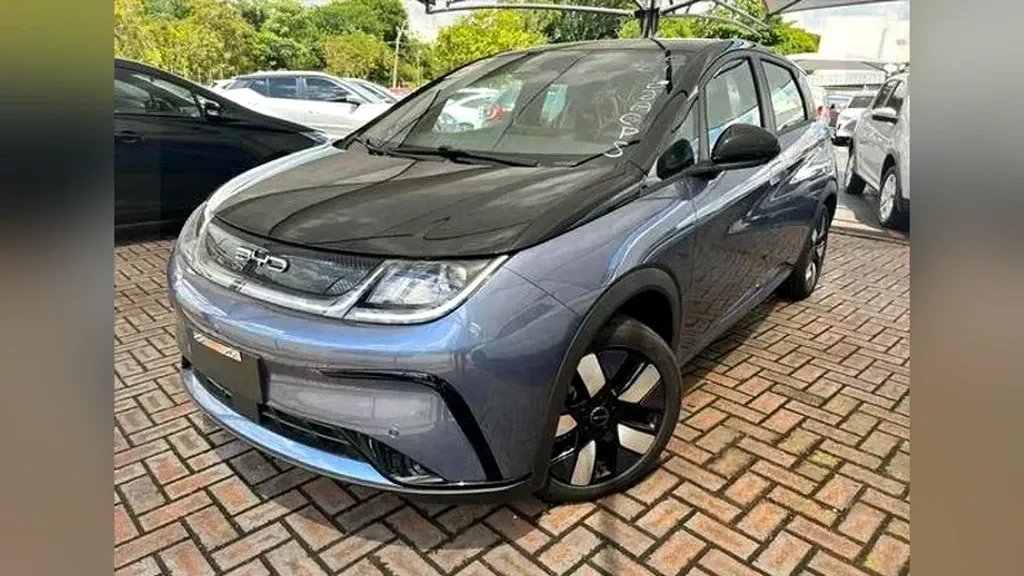 Foto de um byd dolphin plus