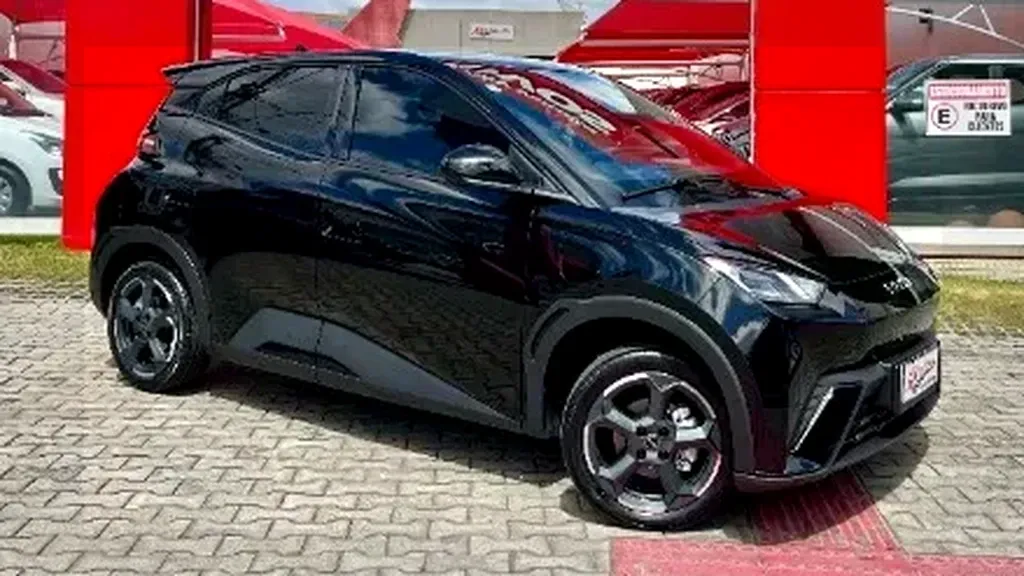 Foto de um byd dolphin mini