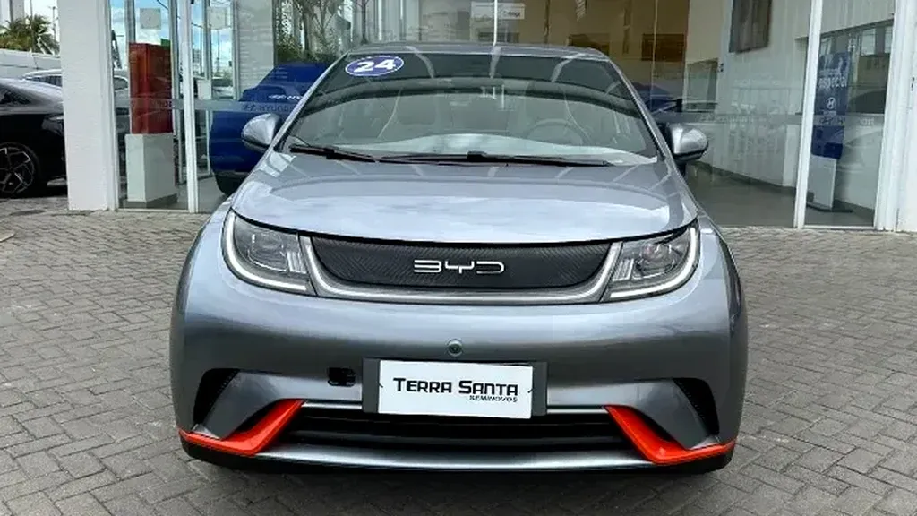 Foto de um byd dolphin