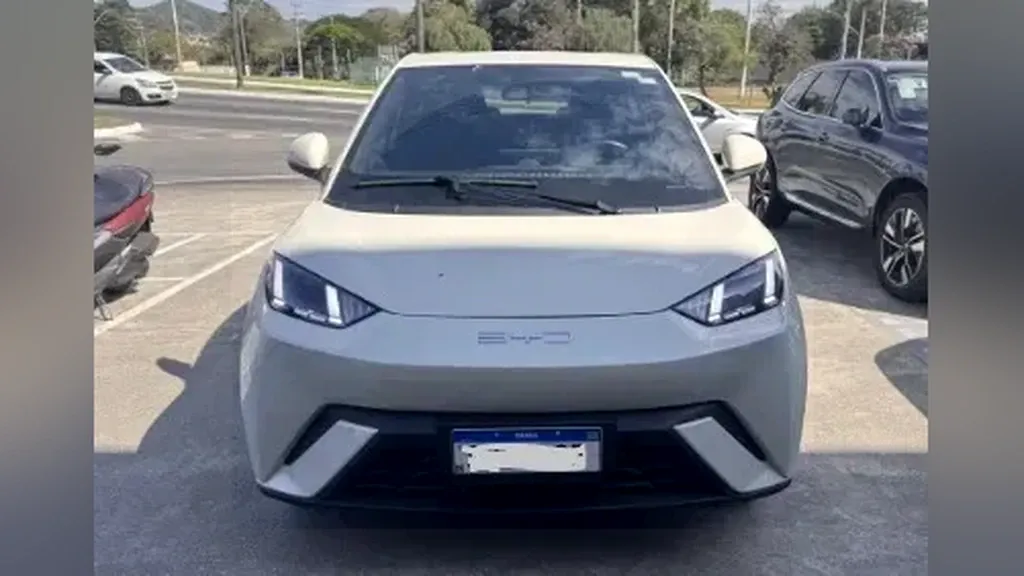 Foto de um byd dolphin mini