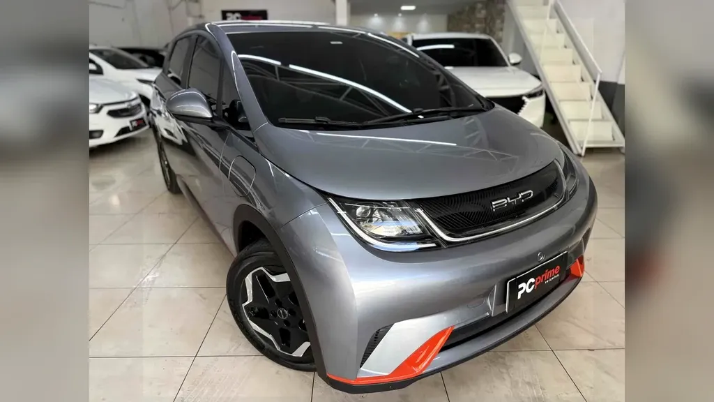 Foto de um byd dolphin