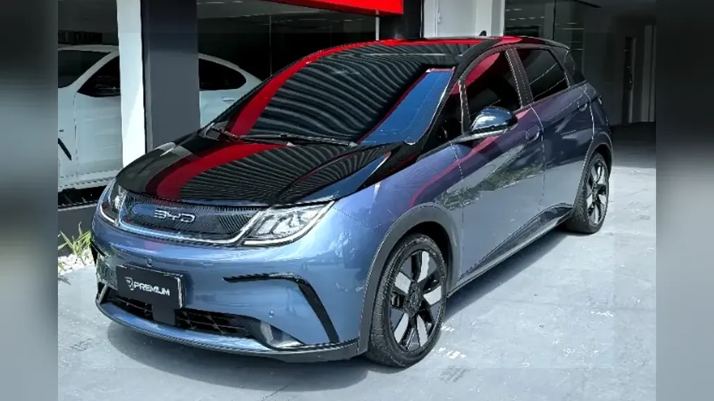 Foto de um byd dolphin