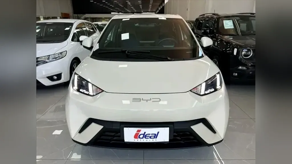 Foto de um byd dolphin mini