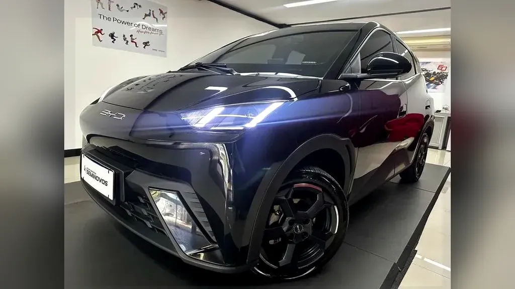 Foto de um byd dolphin mini