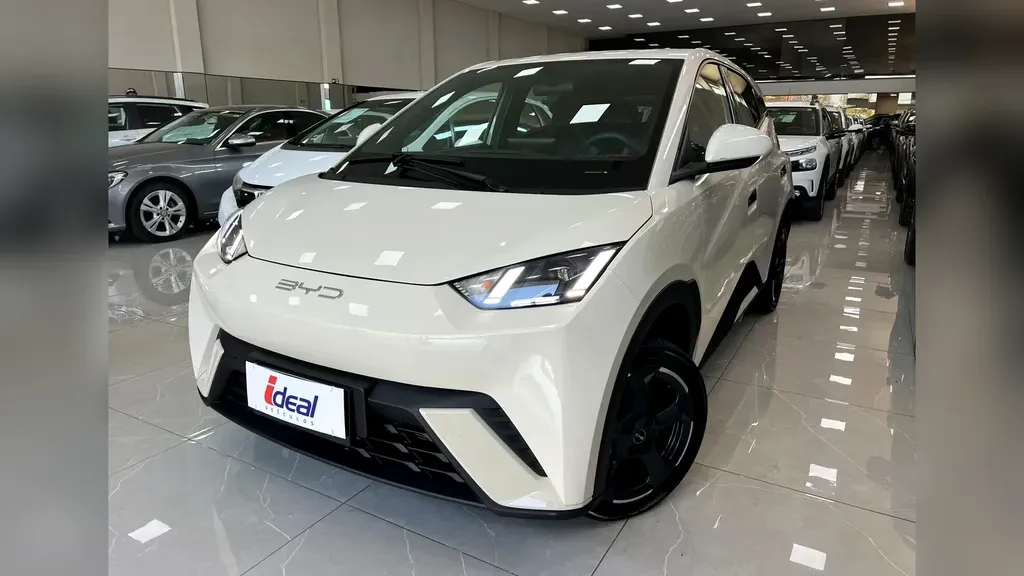 Foto de um byd dolphin mini