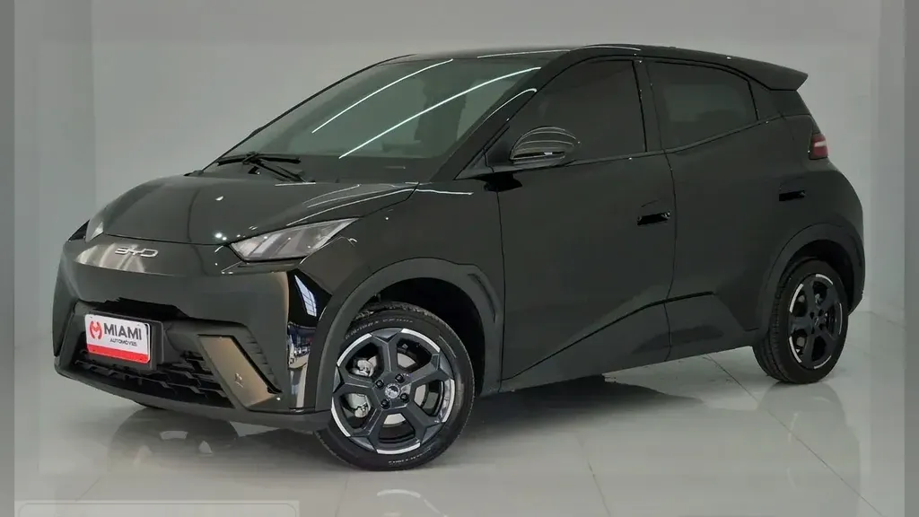 Foto de um byd dolphin