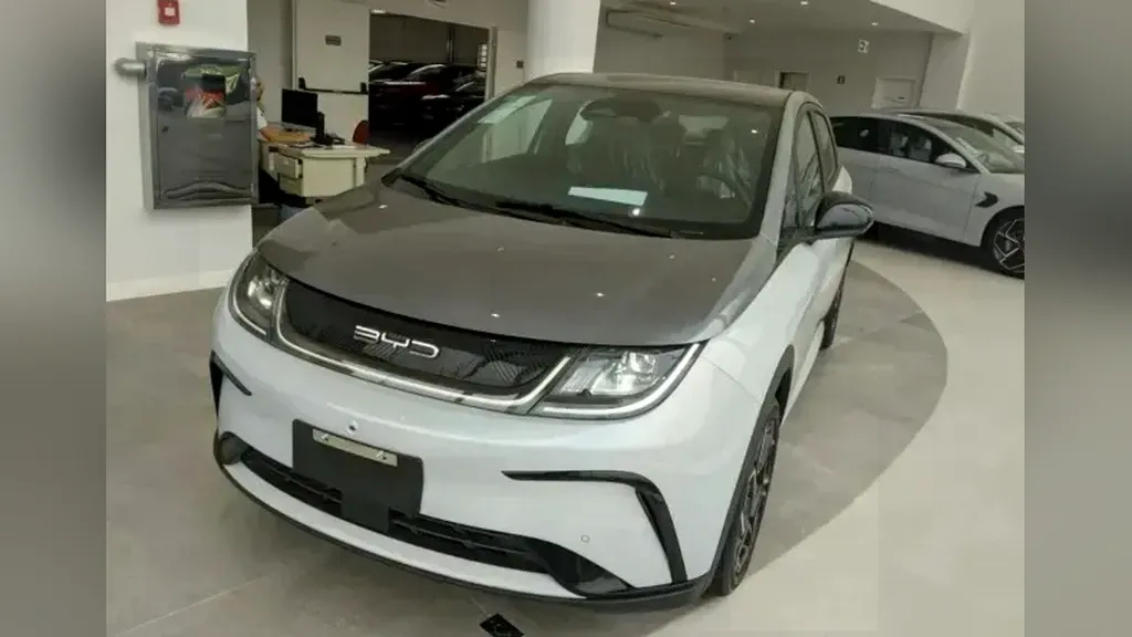 Foto de um byd dolphin plus