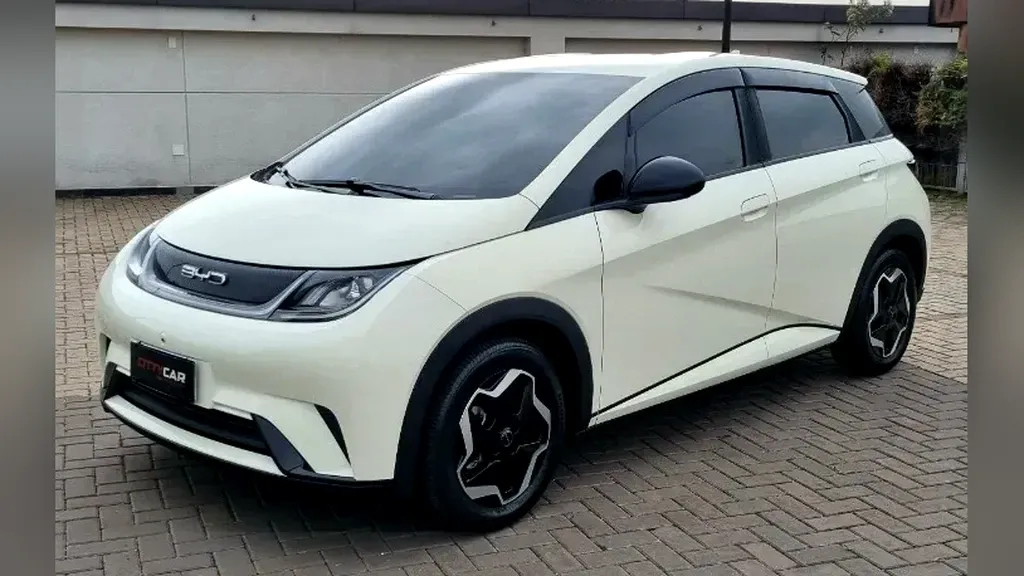 Foto de um byd dolphin