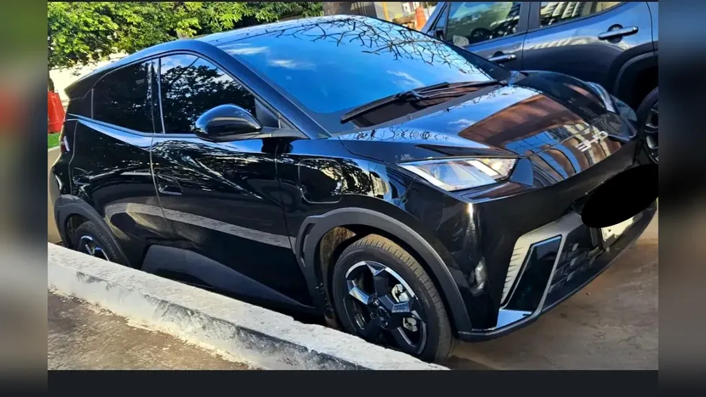 Foto de um byd dolphin