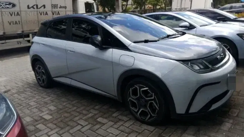 Foto de um byd dolphin