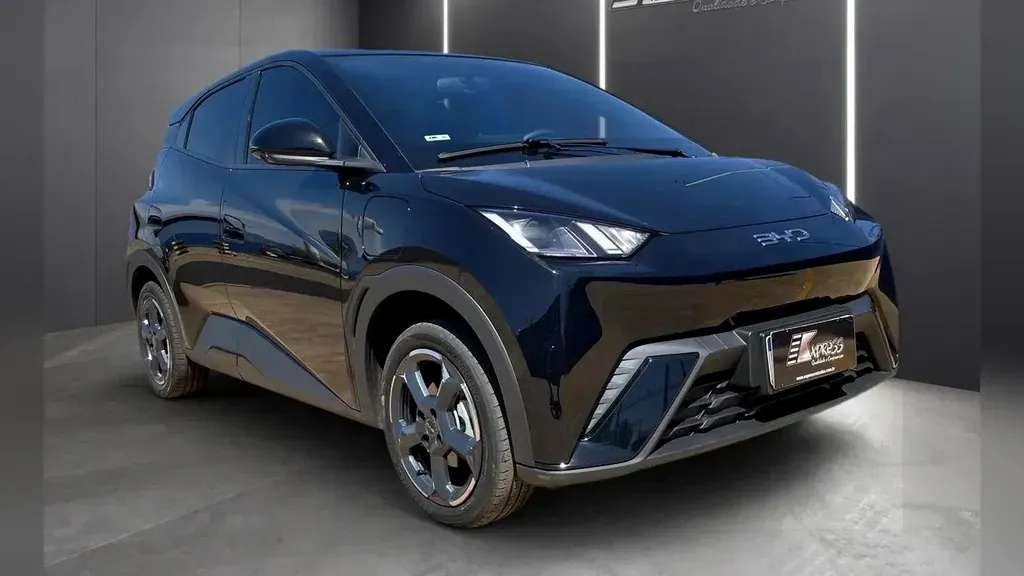 Foto de um byd dolphin mini