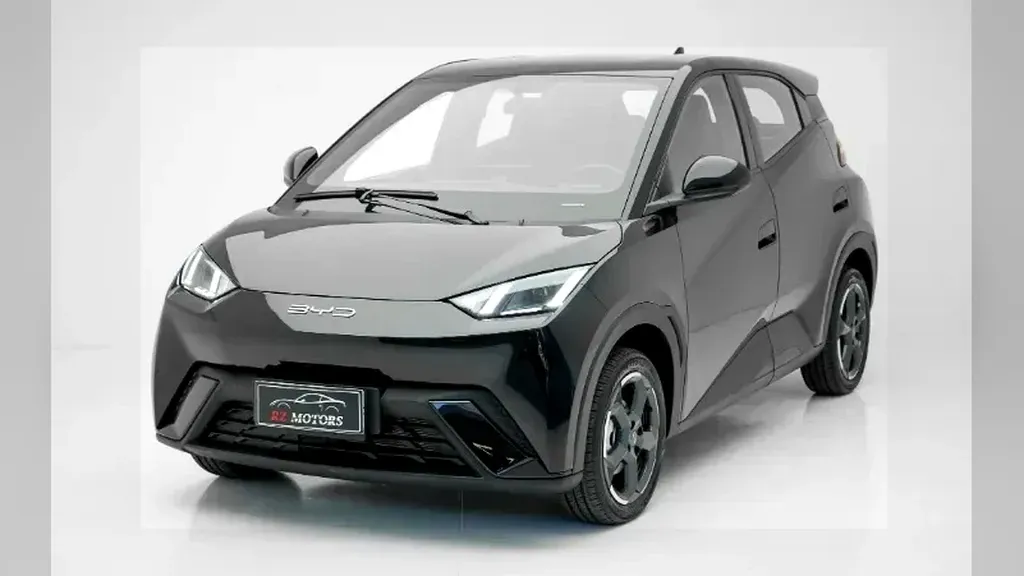 Foto de um byd dolphin mini